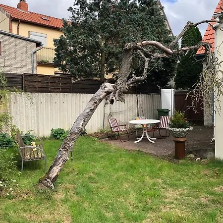 Ahmed Al-hamadani Casa de Férias